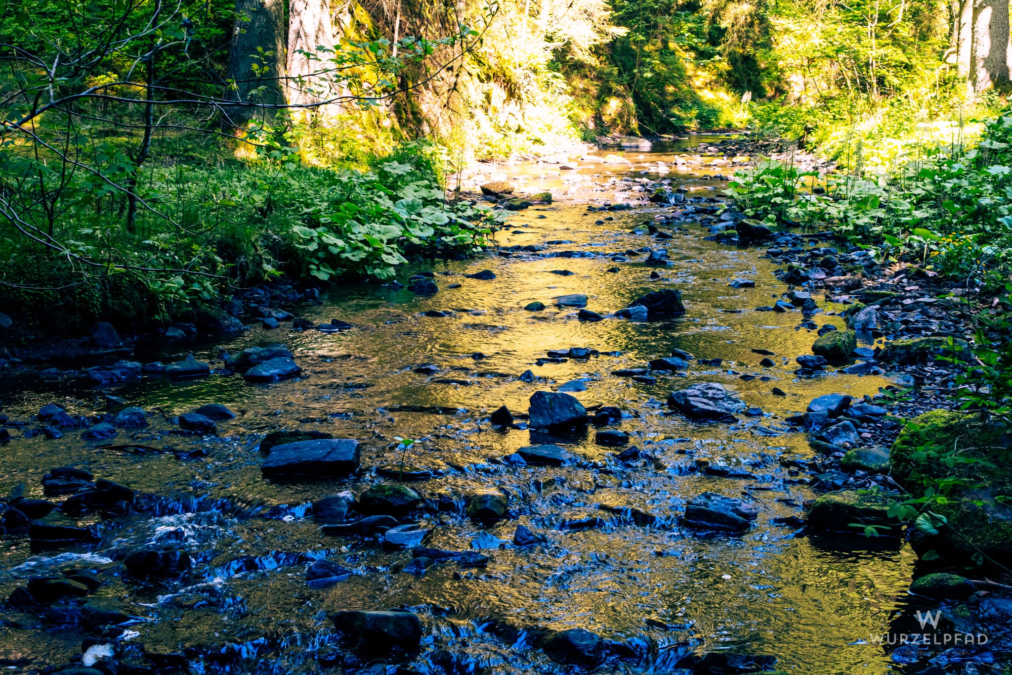 In der Rötenbachschlucht